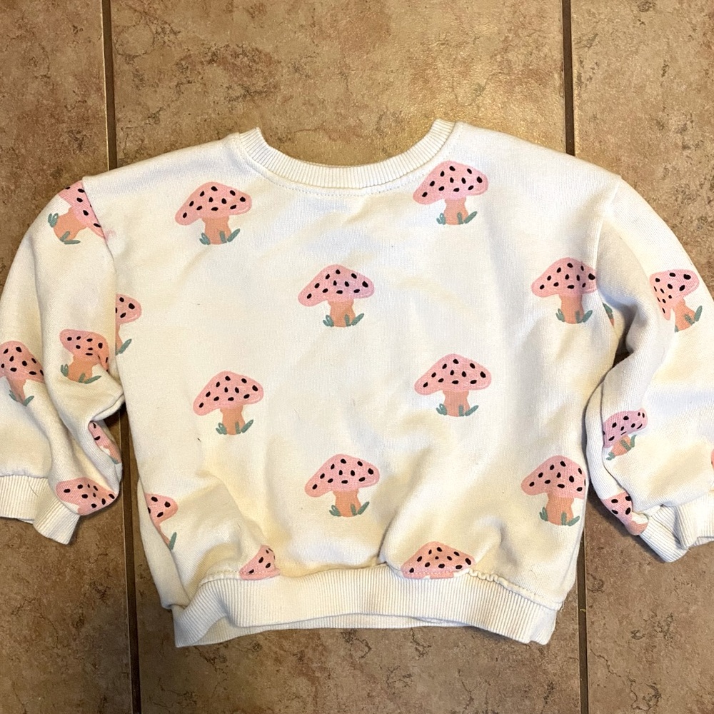 Zara girls sweater